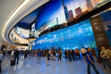 Dubai Mall Aquarium